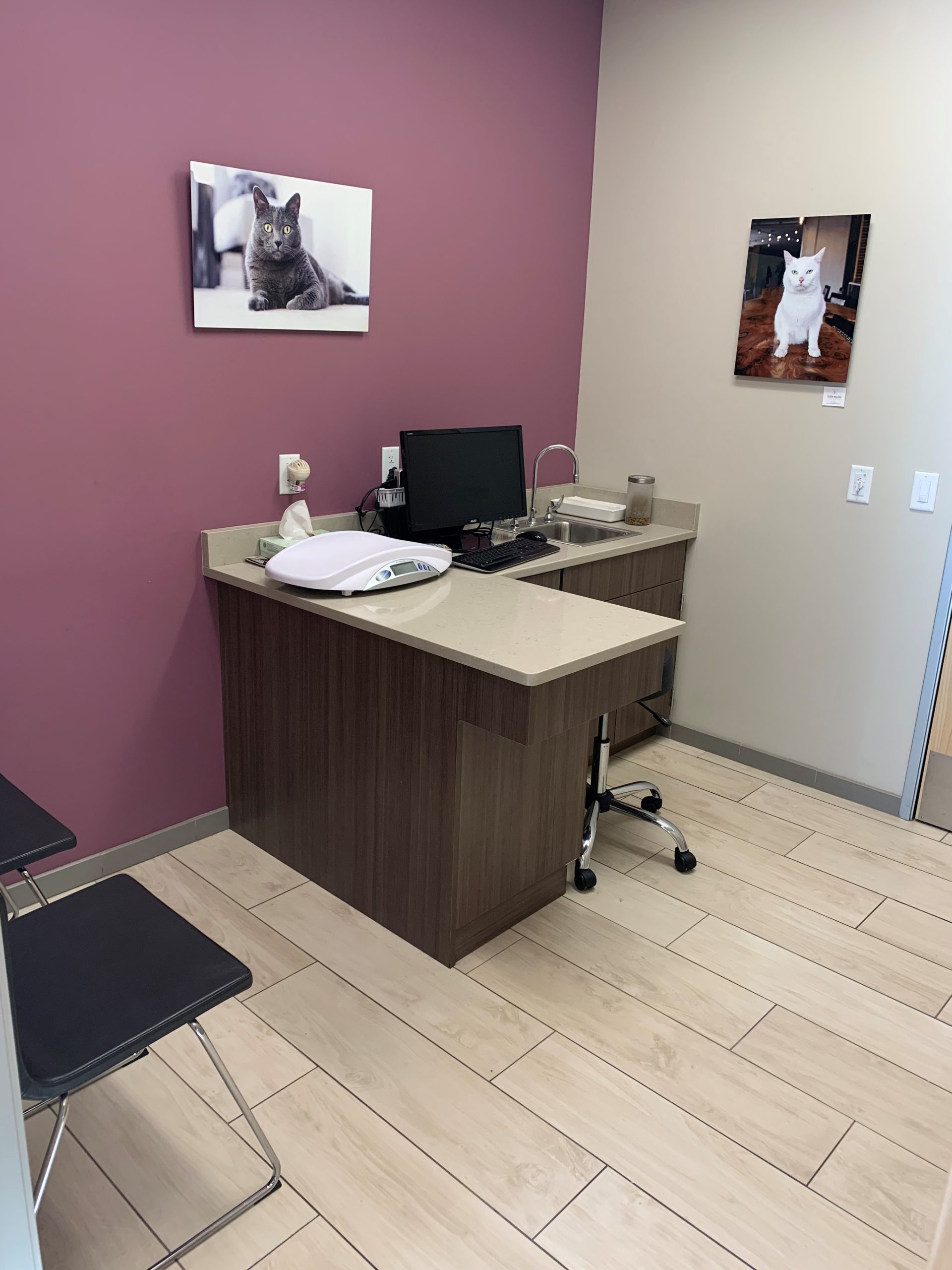 Our Location in Centennial, CO VIDA Veterinary Care