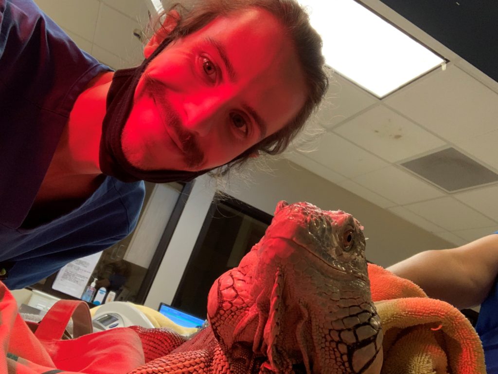 A veterinarian with a lizard